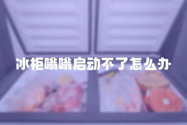 冰柜嗡嗡啟動不了怎么辦