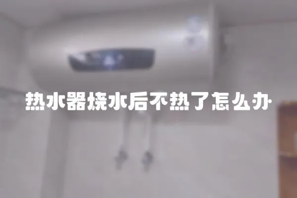 熱水器燒水后不熱了怎么辦