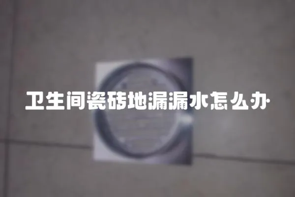 衛生間瓷磚地漏漏水怎么辦