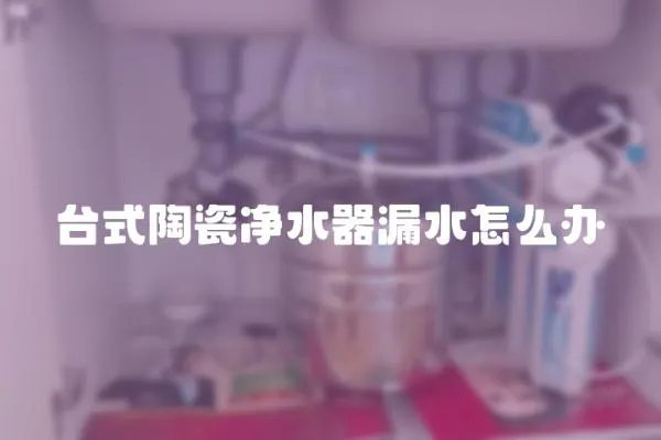 臺式陶瓷凈水器漏水怎么辦