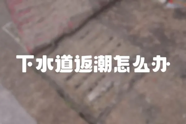下水道返潮怎么辦