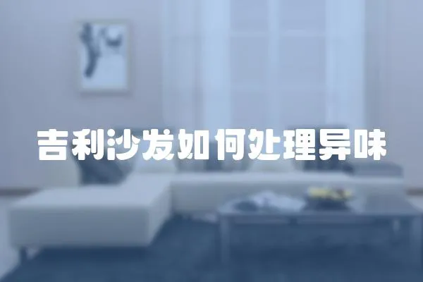 吉利沙發如何處理異味