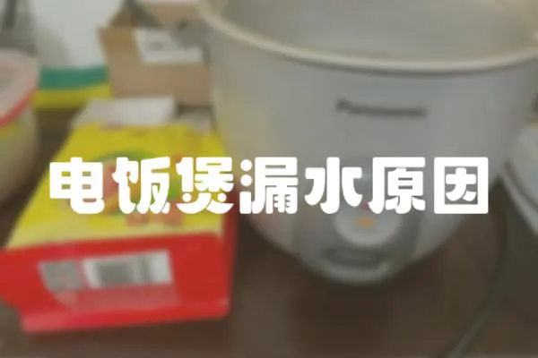 电饭煲漏水原因