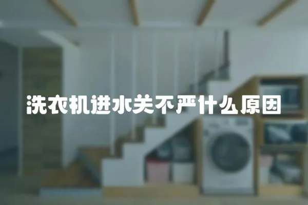 洗衣機進水關不嚴什么原因