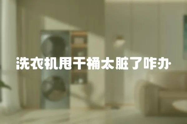 洗衣機(jī)甩干桶太臟了咋辦