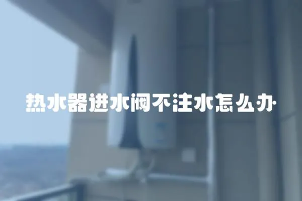 熱水器進水閥不注水怎么辦