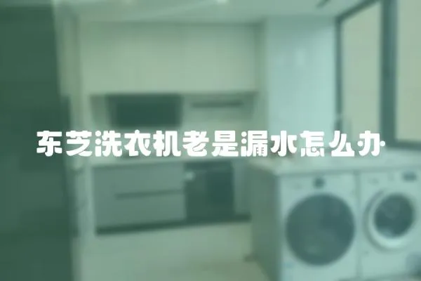 東芝洗衣機老是漏水怎么辦