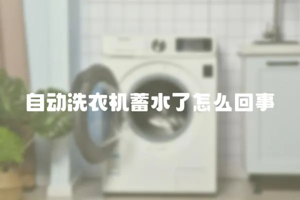 自動洗衣機蓄水了怎么回事