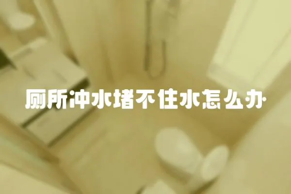 廁所沖水堵不住水怎么辦