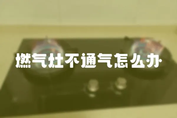 燃?xì)庠畈煌庠趺崔k