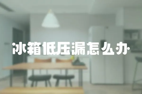冰箱低壓漏怎么辦