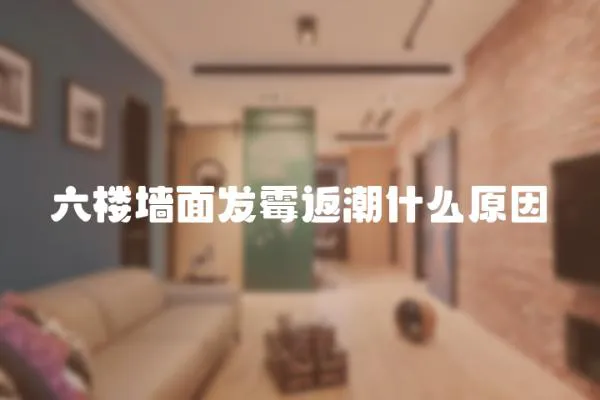六樓墻面發霉返潮什么原因