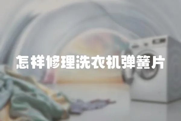 怎樣修理洗衣機(jī)彈簧片