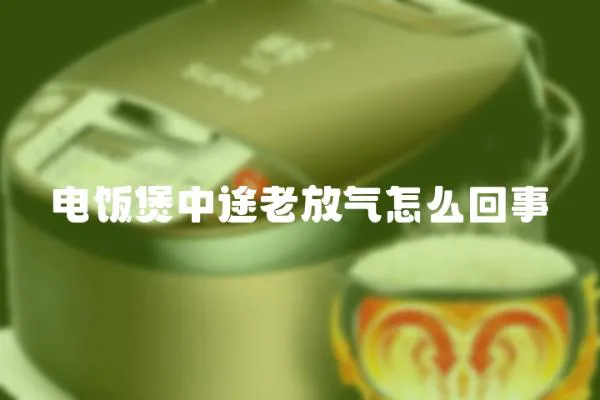 電飯煲中途老放氣怎么回事