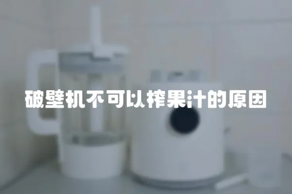 破壁機不可以榨果汁的原因
