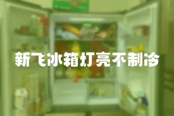 新飛冰箱燈亮不制冷