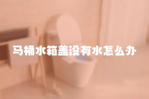 馬桶水箱蓋沒有水怎么辦