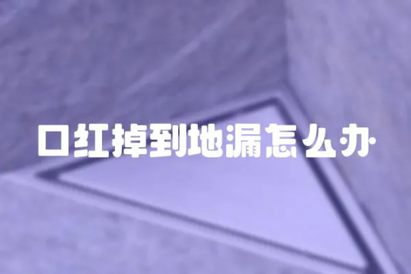 口紅掉到地漏怎么辦