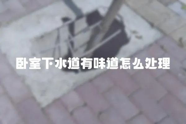 臥室下水道有味道怎么處理
