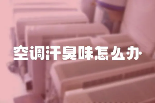 空調汗臭味怎么辦