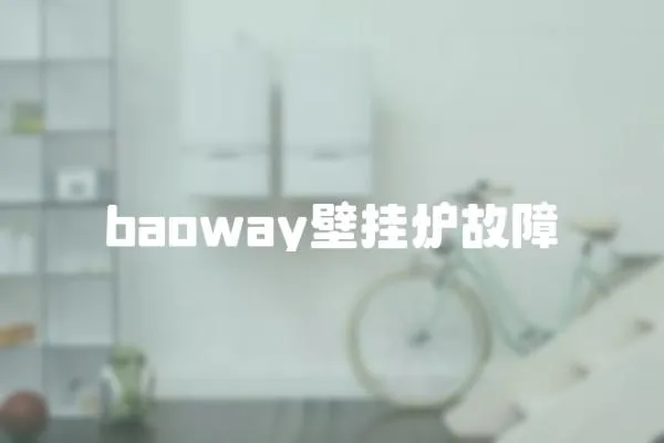 baoway壁挂炉故障