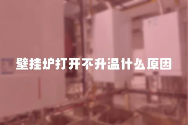 壁掛爐打開不升溫什么原因