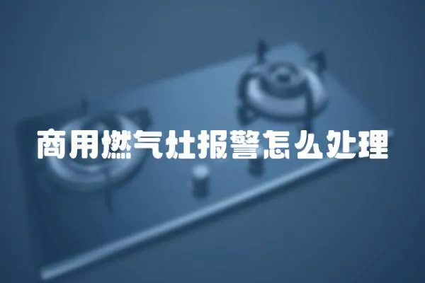 商用燃?xì)庠顖?bào)警怎么處理