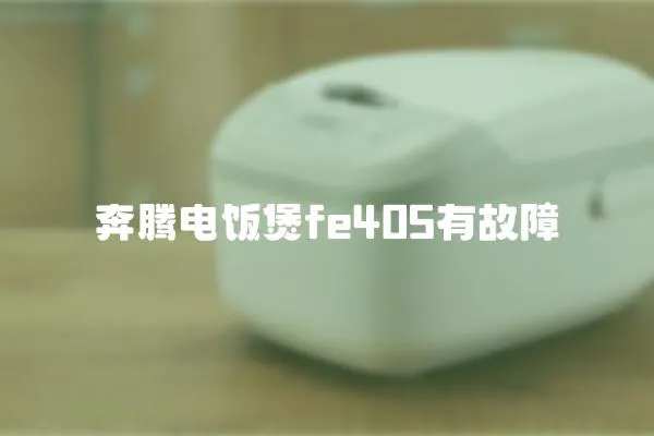 奔騰電飯煲fe405有故障