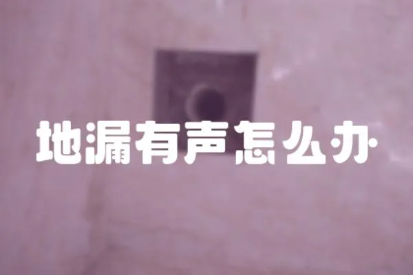 地漏有聲怎么辦