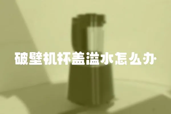 破壁機杯蓋溢水怎么辦