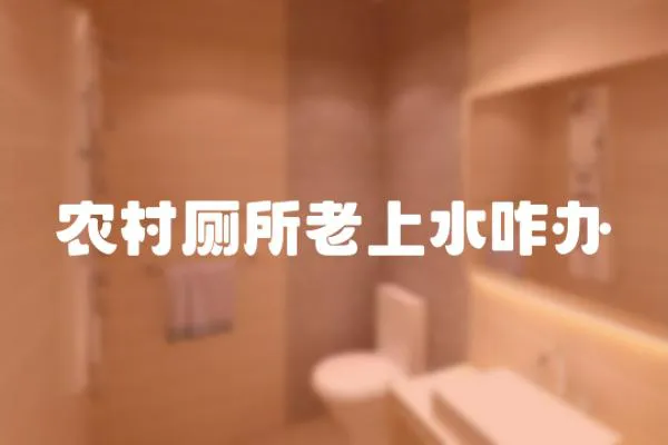 農村廁所老上水咋辦