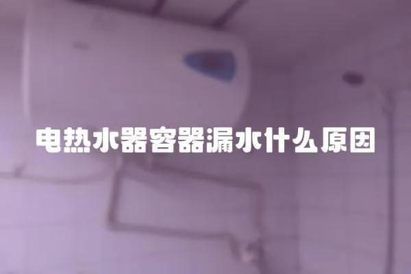 電熱水器容器漏水什么原因