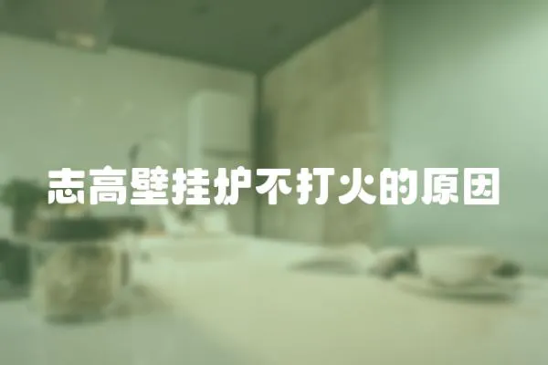 志高壁掛爐不打火的原因