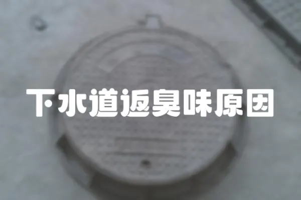 下水道返臭味原因