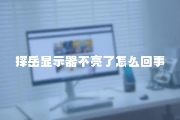 探岳顯示器不亮了怎么回事