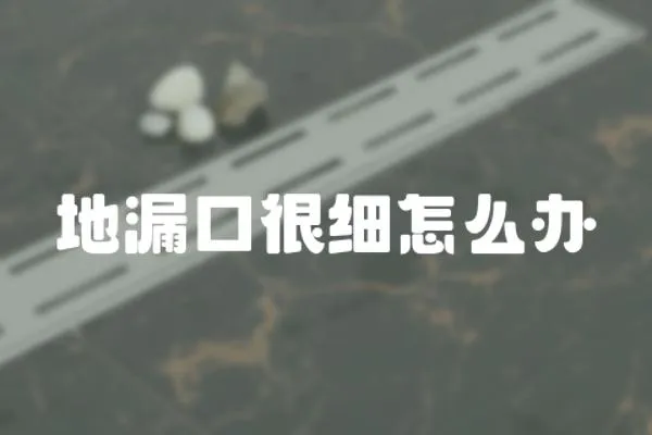 地漏口很細怎么辦