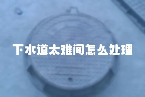 下水道太難聞怎么處理