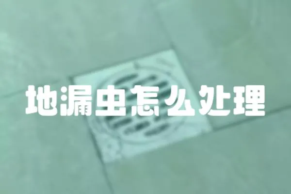地漏蟲怎么處理