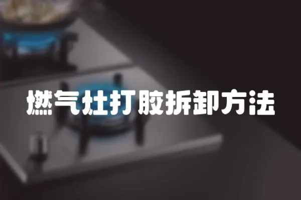 燃?xì)庠畲蚰z拆卸方法