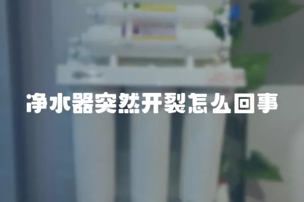 凈水器突然開(kāi)裂怎么回事