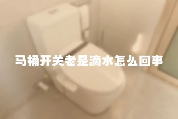 馬桶開關(guān)老是滴水怎么回事