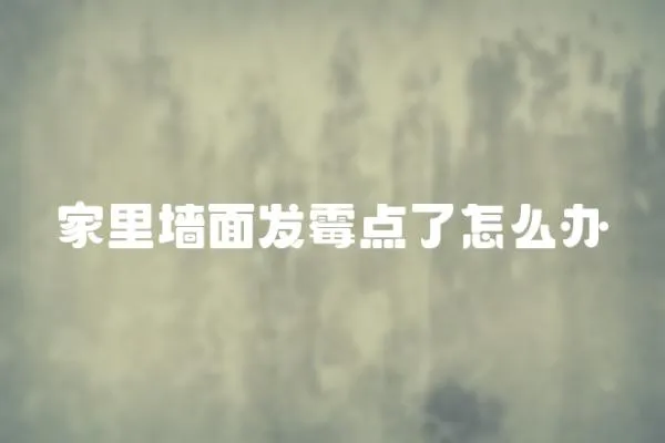 家里墻面發霉點了怎么辦