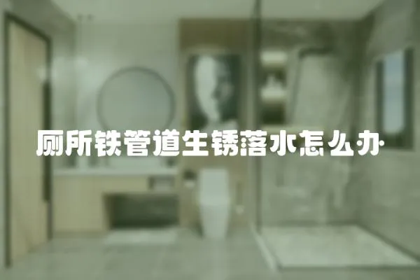 廁所鐵管道生銹落水怎么辦