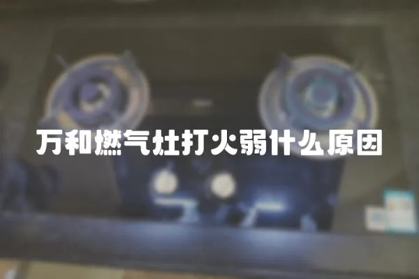 萬和燃?xì)庠畲蚧鹑跏裁丛?></a></div>
                    <div   id=