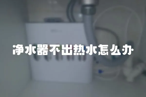 凈水器不出熱水怎么辦