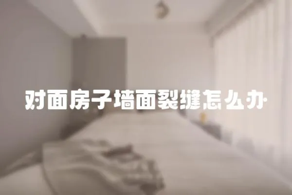 對面房子墻面裂縫怎么辦