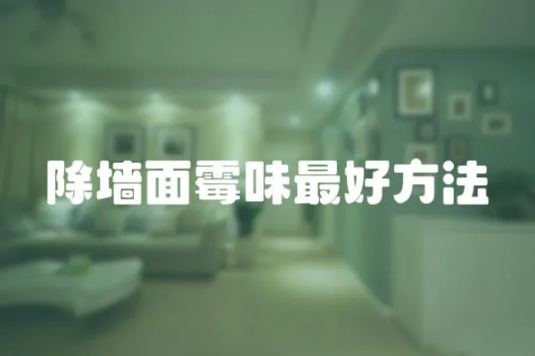 除墻面霉味最好方法