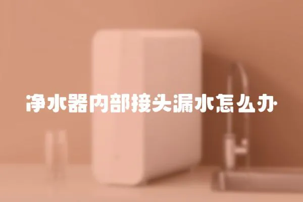 凈水器內部接頭漏水怎么辦