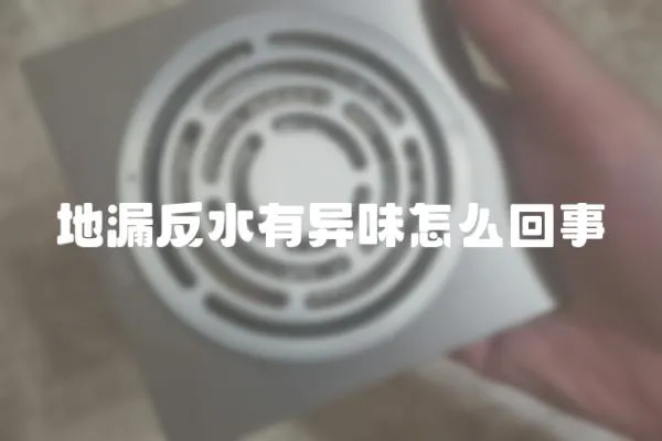 地漏反水有異味怎么回事