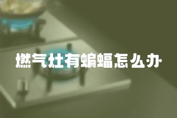 燃氣灶有蝙蝠怎么辦